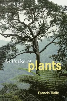 Ku chwale roślin - In Praise of Plants