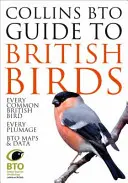 Przewodnik Collins BTO po brytyjskich ptakach - Collins BTO Guide to British Birds