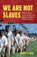 Nie jesteśmy niewolnikami: Przemoc państwa, praca przymusowa i prawa więźniów w powojennej Ameryce - We Are Not Slaves: State Violence, Coerced Labor, and Prisoners' Rights in Postwar America