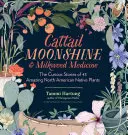 Cattail Moonshine & Milkweed Medicine: Ciekawe historie 43 niesamowitych rodzimych roślin Ameryki Północnej - Cattail Moonshine & Milkweed Medicine: The Curious Stories of 43 Amazing North American Native Plants