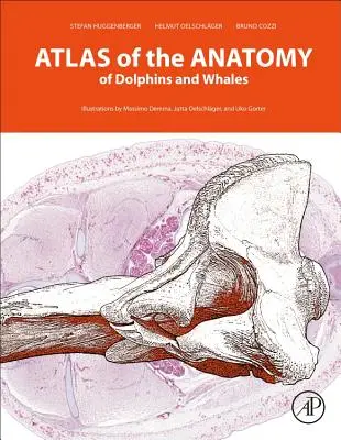 Atlas anatomii delfinów i wielorybów - Atlas of the Anatomy of Dolphins and Whales