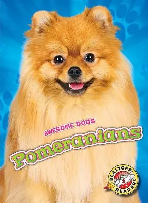 Pomorzanie - Pomeranians