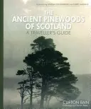 Starożytne lasy sosnowe Szkocji: Przewodnik podróżnika - The Ancient Pinewoods of Scotland: A Traveller's Guide