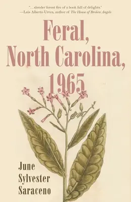 Feral, Karolina Północna, 1965 - Feral, North Carolina, 1965