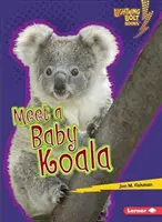 Poznaj małego koalę - Meet a Baby Koala