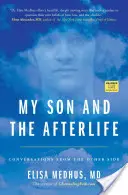 Mój syn i życie pozagrobowe: Rozmowy z drugiej strony - My Son and the Afterlife: Conversations from the Other Side