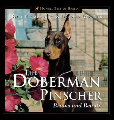 Pinczer doberman: Mózg i piękno - The Doberman Pinscher: Brains and Beauty