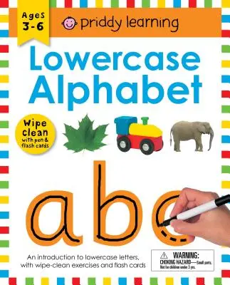 Wipe Clean Workbook: Małe litery alfabetu (zamknięta oprawa spiralna): Wiek 3-6 lat; z długopisem i kartami flash - Wipe Clean Workbook: Lowercase Alphabet (Enclosed Spiral Binding): Ages 3-6; With Pen & Flash Cards