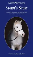 Historia Storma - Storm's Story