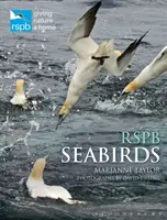 Rspb Ptaki morskie - Rspb Seabirds