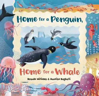 Dom dla pingwina, dom dla wieloryba - Home for a Penguin, Home for a Whale