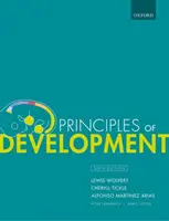 Zasady rozwoju - Principles of Development