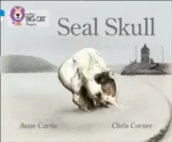 Czaszka foki - Seal Skull