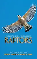 Fotograficzny przewodnik po ptakach szponiastych Ameryki Północnej - A Photographic Guide to North American Raptors