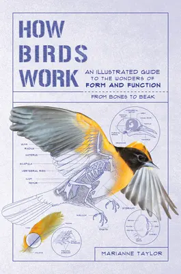 Jak działają ptaki: Ilustrowany przewodnik po cudach formy i funkcji - od kości do dzioba - How Birds Work: An Illustrated Guide to the Wonders of Form and Function--From Bones to Beak