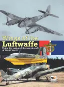 Skrzydła Luftwaffe: Latanie zdobytymi niemieckimi samolotami z czasów II wojny światowej - Wings of the Luftwaffe: Flying the Captured German Aircraft of WWII