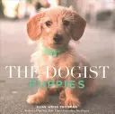 Szczenięta Dogist - The Dogist Puppies