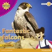 Czytanka non-fiction My Gulf World and Me Poziom 4: Fantastyczne sokoły - My Gulf World and Me Level 4 non-fiction reader: Fantastic falcons