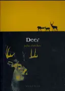 Jeleń - Deer