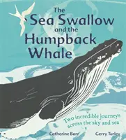 Jaskółka morska i humbak - dwie niesamowite podróże po niebie i morzu - Sea Swallow and the Humpback Whale - Two Incredible Journeys Across the Sky and Sea