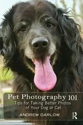 Pet Photography 101: Wskazówki dotyczące robienia lepszych zdjęć psa lub kota - Pet Photography 101: Tips for Taking Better Photos of Your Dog or Cat