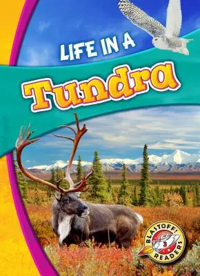 Życie w tundrze - Life in a Tundra