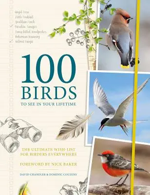 100 ptaków do zobaczenia w życiu: Ostateczna lista życzeń dla ptasiarzy na całym świecie - 100 Birds to See in Your Lifetime: The Ultimate Wish-List for Birders Everywhere