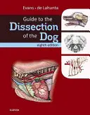 Przewodnik po sekcji psa - Guide to the Dissection of the Dog