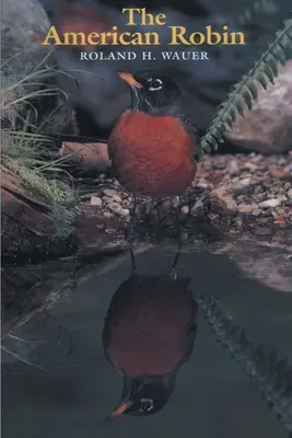 Robin amerykański - The American Robin