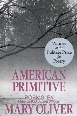 Amerykański prymityw - American Primitive