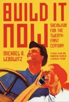 Zbuduj to teraz: Socjalizm dla dwudziestego pierwszego wieku - Build It Now: Socialism for the Twenty-First Century