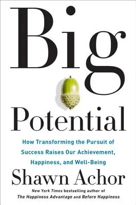 Big Potential: How Transforming the Pursuit of Success Raises Our Achievement, Happiness, and Well-Being (Wielki potencjał: jak zmienić dążenie do sukcesu, aby zwiększyć nasze osiągnięcia, szczęście i dobrobyt) - Big Potential: How Transforming the Pursuit of Success Raises Our Achievement, Happiness, and Well-Being