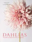 Dalie: piękne odmiany dla domu i ogrodu - Dahlias: Beautiful Varieties for Home & Garden