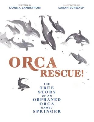 Orca Rescue! Prawdziwa historia osieroconej orki o imieniu Springer - Orca Rescue!: The True Story of an Orphaned Orca Named Springer