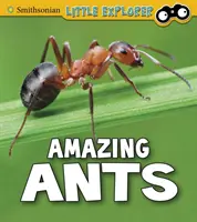 Niesamowite mrówki - Amazing Ants