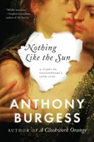 Nothing Like the Sun: Historia życia miłosnego Szekspira - Nothing Like the Sun: A Story of Shakespeare's Love-Life