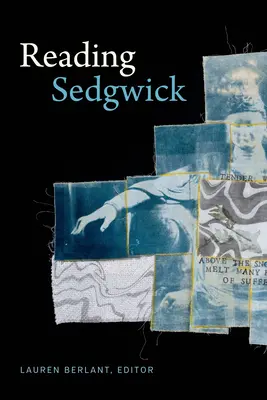 Czytając Sedgwick - Reading Sedgwick