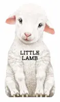 Mała owieczka - Little Lamb