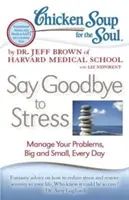 Chicken Soup for the Soul: Pożegnaj się ze stresem: Zarządzaj swoimi problemami, dużymi i małymi, każdego dnia - Chicken Soup for the Soul: Say Goodbye to Stress: Manage Your Problems, Big and Small, Every Day