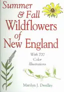 Letnie i jesienne dzikie kwiaty Nowej Anglii - Summer & Fall Wildflowers of New England