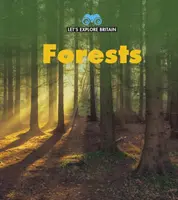 Lasy - Forests