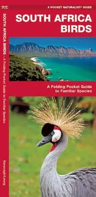 Ptaki Afryki Południowej: Składany kieszonkowy przewodnik po znanych gatunkach - South Africa Birds: A Folding Pocket Guide to Familiar Species