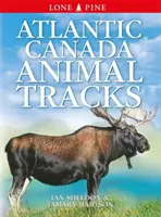 Ślady zwierząt w Kanadzie Atlantyckiej - Atlantic Canada Animal Tracks