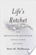 Życiowa zapadka: jak maszyny molekularne wydobywają porządek z chaosu - Life's Ratchet: How Molecular Machines Extract Order from Chaos