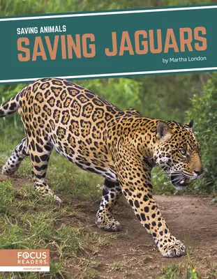 Ratowanie jaguarów - Saving Jaguars