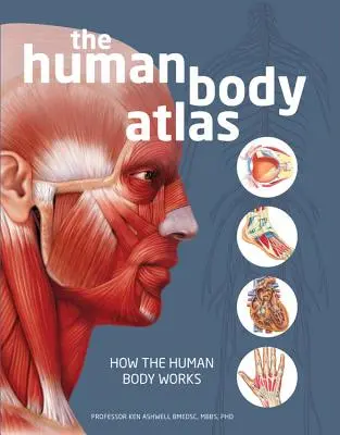 Atlas ludzkiego ciała: Jak działa ludzkie ciało - The Human Body Atlas: How the Human Body Works