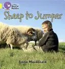 Od owcy do skoczka - Sheep to Jumper