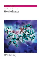 Helicazy RNA - RNA Helicases