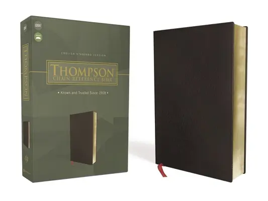 Esv, Thompson Chain-Reference Bible, skóra klejona, czarny, czerwona litera - Esv, Thompson Chain-Reference Bible, Bonded Leather, Black, Red Letter