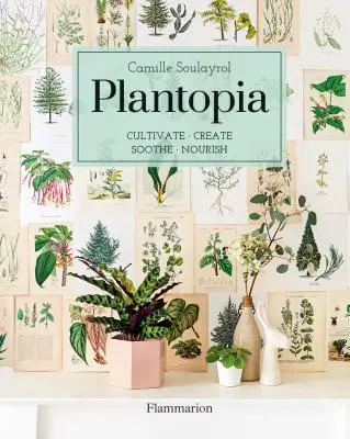 Plantopia: Kultywuj / Twórz / Uspokajaj / Odżywiaj - Plantopia: Cultivate / Create / Soothe / Nourish